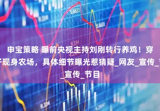 申宝策略 曝前央视主持刘刚转行养鸡！穿靴子现身农场，具体细节曝光惹猜疑_网友_宣传_节目